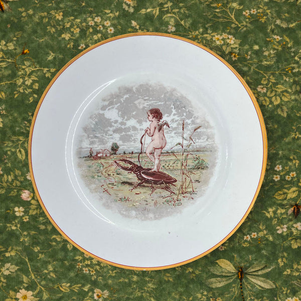 Rare Wedgwood 'Fanstasy' Cabinet Plate c.1870 painted by Emile Lessore